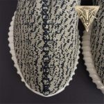 Yeezy Boost 350 Turtle Dove - Image 11