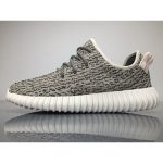 Adidas Yeezy Boost 350 Turtle Grey AQ4832