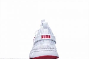 SIZE4045 - Image 2