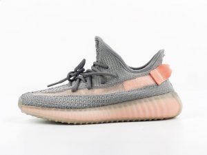 Yeezy 350 V2 True Form - Image 4