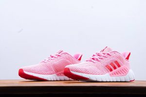 Adidas 2019 ASWEEGO - Image 3