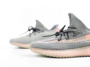 Yeezy 350 V2 True Form - Image 5