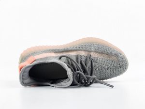 Yeezy 350 V2 True Form - Image 6