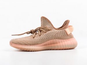 Yeezy Boost 350 V2 Clay - Image 6