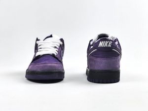 Concepts x Nike SB Dunk Low Purple Lobster - Image 6