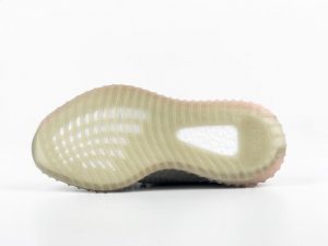 Yeezy 350 V2 True Form - Image 8