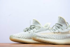 adidas Yeezy 350v2 Static - Image 9