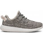 Yeezy Turtle Dove 350