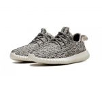 Yeezy Turtle Dove 350 - Image 5