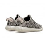 Yeezy Turtle Dove 350 - Image 4