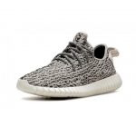 Yeezy Turtle Dove 350 - Image 3