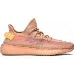 Yeezy Clay 350 V2