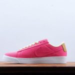 195  Nike Blazer Low LE