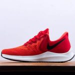 210  NIKE AIR ZOOM WINFLO 6  W6  P08722
