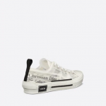 Dior B23 Low-Top White Daniel Arsham Motif Canvas