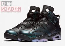 Jordan 6 Retro All Star 2017 Chameleon - Boom - Image 4