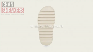 YEEZY Slide Bone - Image 4