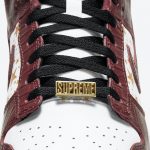 Supreme X Nike SB Dunk Low Barkroot Brown - Image 5